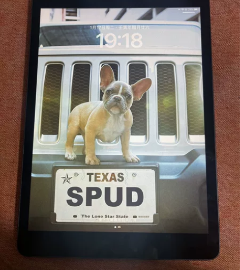 我就是卖二手平板的送笔!ipad2021第...