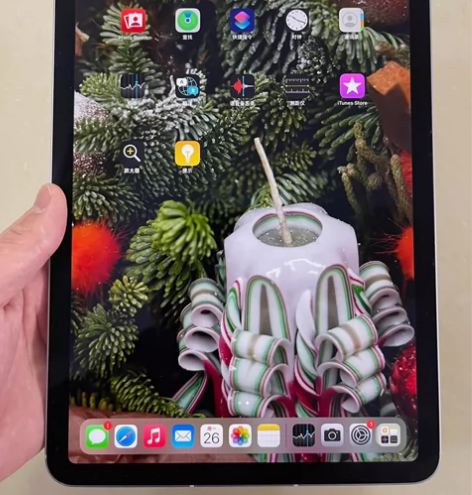 【特价iPad Air4 256G 插卡W...