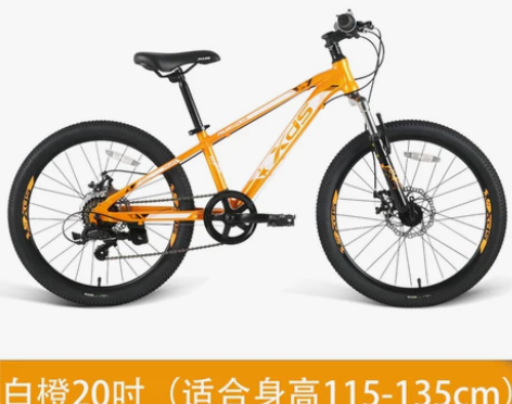 全新喜德盛北极星青少年山地自行车20寸学生...