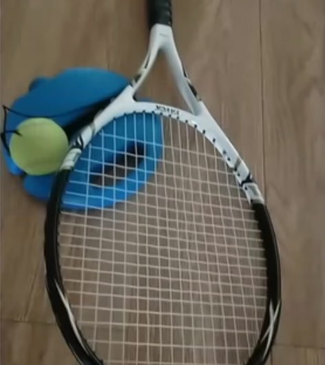 网球回弹训练器，两个球，带球包，全新，买了...