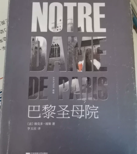 包邮正版巴黎圣母院 江苏凤凰文艺出版社 法...