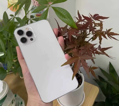 12ProMax iPhone12pro走...