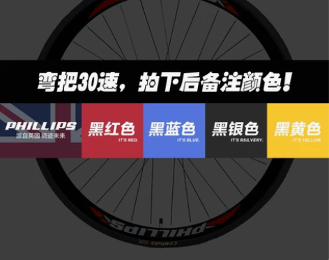 【跨年狂欢】PHILLIPS菲利普公路车自...