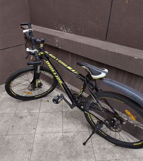 菲利普山地车自行车，老公说买的时候1000...