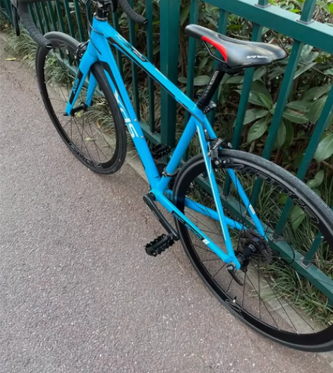 出一辆喜德盛rc 300    换的顺泰手...