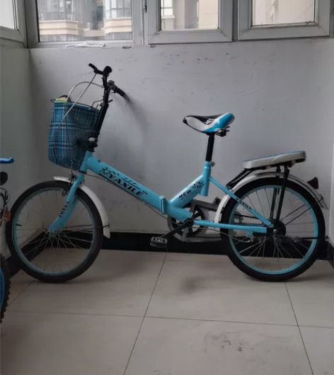 20寸折叠自行车，胎毛还在没咋骑，大人小孩...