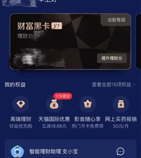 支付宝 钻石会员 财富黑卡 影视会员 腾讯...