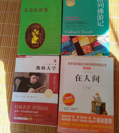 苏菲的世界，格列佛游记，我的大学，在人间，...