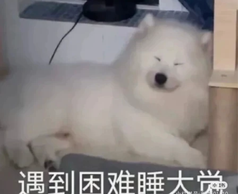 高中辅导 可辅导数学化学 985大二在读 ...