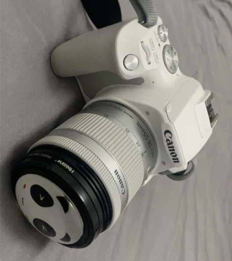 Canon/佳能EOS 200D II 数...