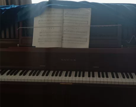 韩国一线品牌三益钢琴，无修理。音质音色纯正...