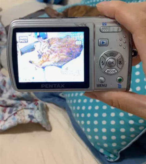 宾得 M30数码相机，问题机器，拍照片有横...