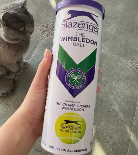 Slazenger史莱辛格网球温网比赛用球...