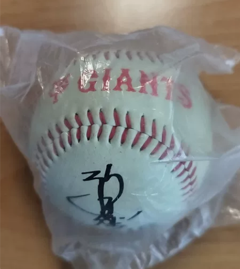 日本giants队巨人对队员签名棒球 不懂...