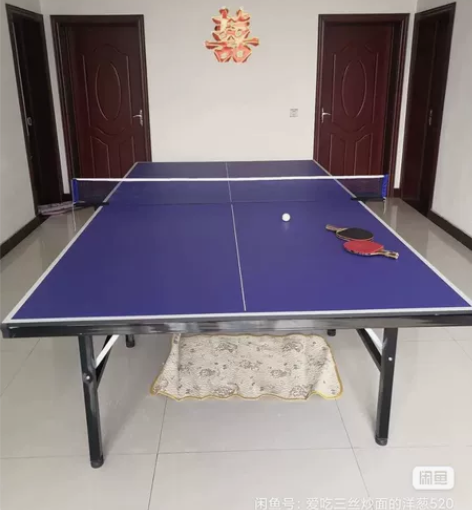 乒乓球桌，9成新，闲置在家，红双喜（加1块...