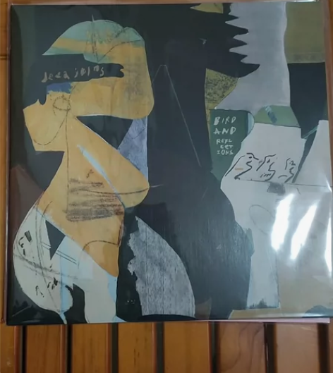 Deca Joins 鸟鸟鸟 限量黑胶LP...