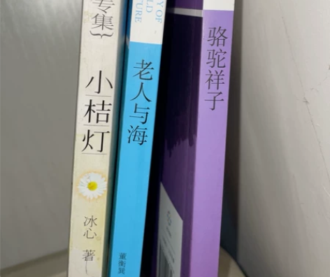 名著 小桔灯  老人与海  骆驼祥子 #课...