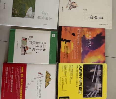 从你的全世界路过 牧羊少年奇幻之旅 我不喜...