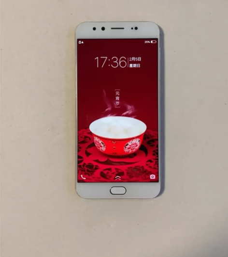 ViVO X9 Plus，6G+64G 【...