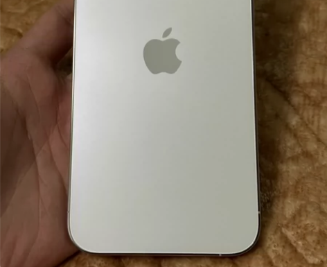 iPhone 13 Pro Max  银色...