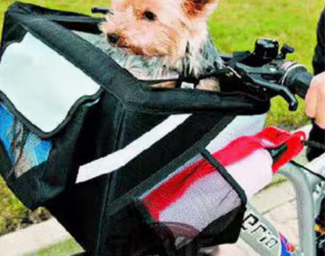 转卖FYONGPET/丰永贝贝 背包箱包,...