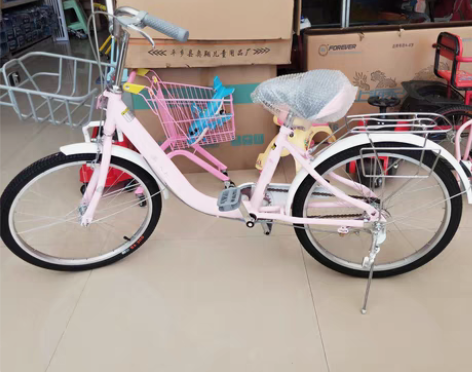 全新22寸自行车 库房搬迁 赔钱处理全新都...