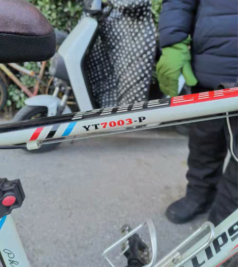 菲律普变速赛车，9成新，正常使用。 感兴趣...