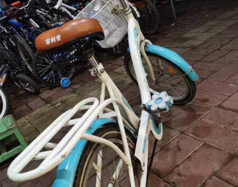 菲利普自行车通行车,新旧图片自己看喜欢自提...