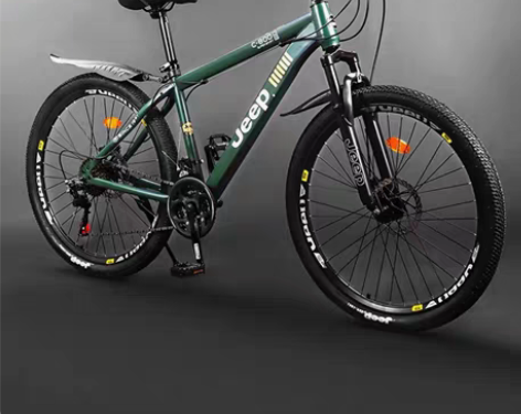 10成新吉普牌山地车，买来时不到八百，现在...