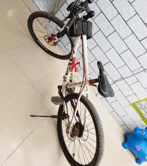 Java赛车自行车，闲置出售，便宜！ 感兴...