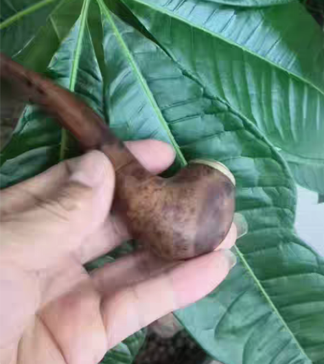 包邮麻利疙瘩烟斗！斗暴满↖，纯手工制作，两...