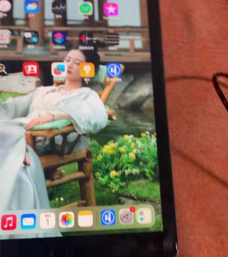 91新iPad 2017 9.7寸第5代 ...