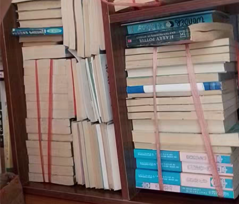 图书盲盒 两本 初中必读书目宇宙简史青少...