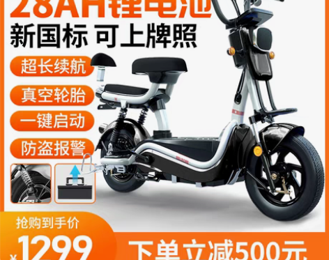 转卖新国标电动自行车锂电池电动车长跑王电瓶...