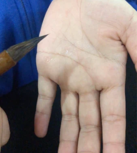 包邮纯紫毫毛笔，笔头精选紫尖（兔尖）制作而...