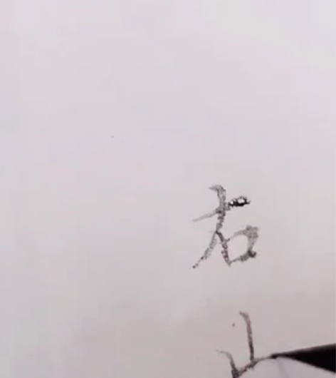 包邮狼紫毫 山野兔毫 抄经蝇头小楷仿古 雀...