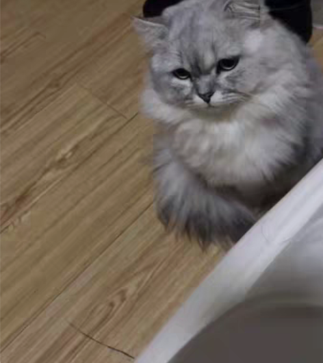 三鑫家园 转租钱已经交了 可以给多住半个月...