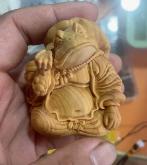 包邮崖柏:可爱的蛙仙人。高度6公分左右。全...