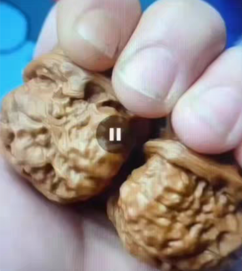 包邮金蟾蛤蟆头大蛙 边38肚42高36,涨...