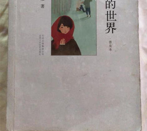 包邮《平凡的世界》普及本 路遥著 19元包...