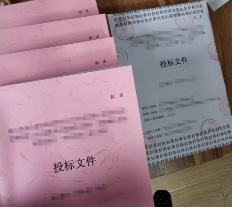 包邮标书制作、商务标、技术标，电子投标 主...