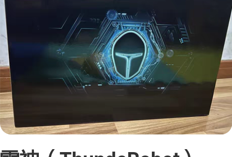 雷神（ThundeRobot） 911MT...