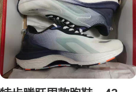 特步腾跃男款跑鞋，43码，全新未试穿，到手...