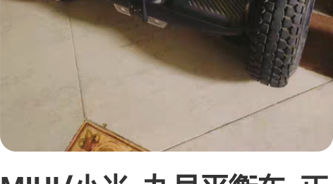 MIUI/小米  九号平衡车  正品九成新...