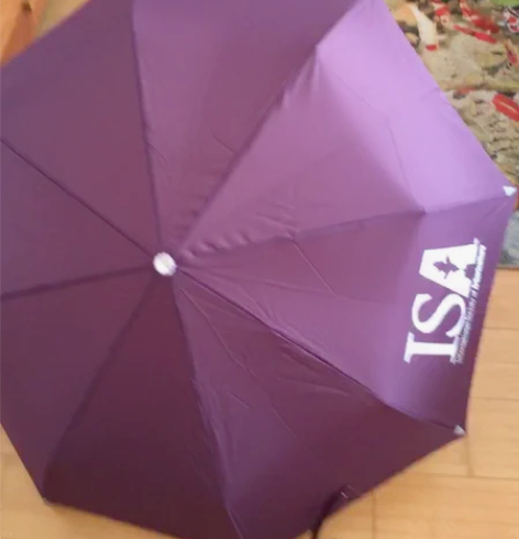 自动收放天堂伞 三折 纳米防水遮阳 玫红色...