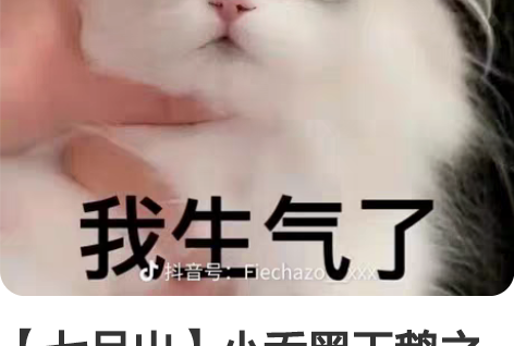 【七月出】小乔黑天鹅之梦cos大全套m，背...