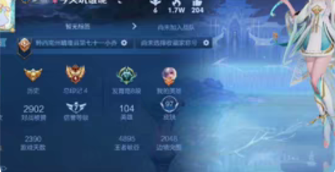 出王者安卓Q区 主玩中路 有小乔兔限，貂蝉猫影仲夏夜金蝉，西...