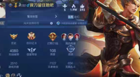 包邮V8、198皮、白虎志、黄金射手座、魔...