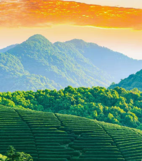 包邮移动电信手机话费，300元 江苏浙江安...