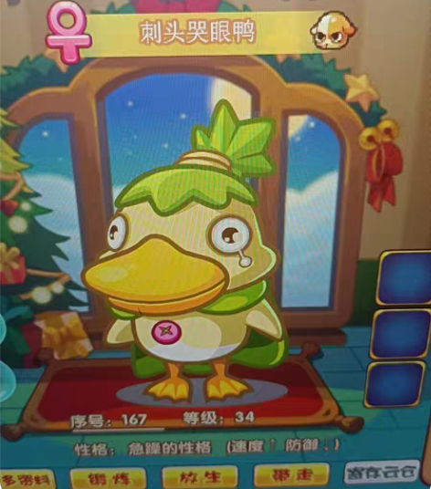 洛克王国宠物蛋,有遗传技能的格兰,鸭子 感...